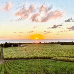 sunset-2